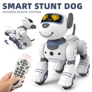 mytooy Roboter Hund mit Fernbedienung