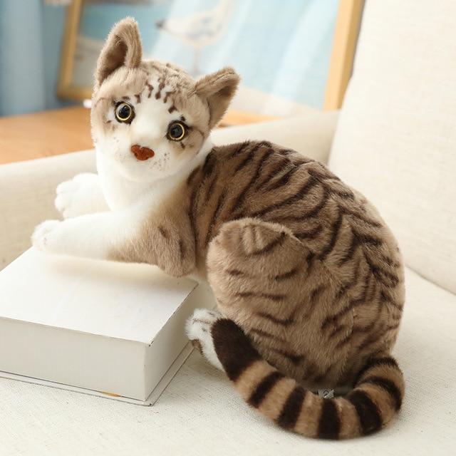 Katze Plüsch Spielzeug