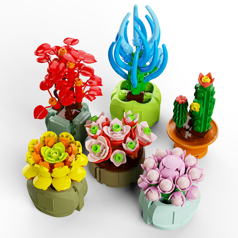 Sukkulenten Bausteine Blumen Kleine Partikel Montage Spielzeug