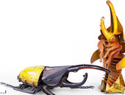 mytooy Insektenmodell für Kinder