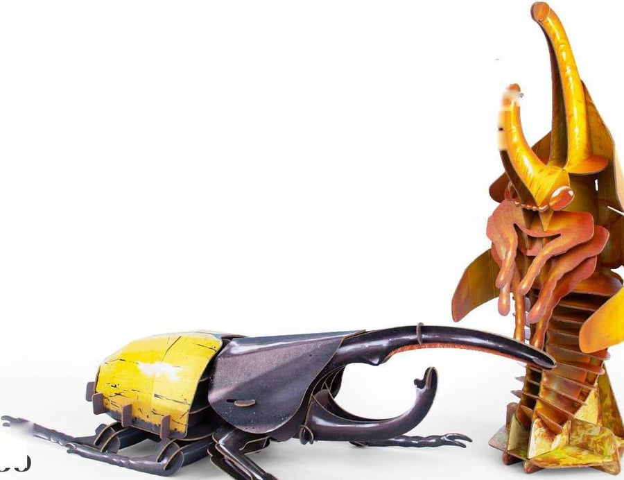mytooy Insektenmodell für Kinder