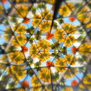 Bildungsspielzeug für Kleinkinder: Kinder-Kaleidoskop