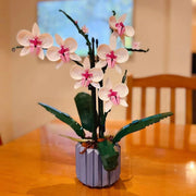 Hause Vielzahl Orchidee Bouquet Sukkulenten Ornamente Blöcke Vorteilhaft Intelligente Spielzeug