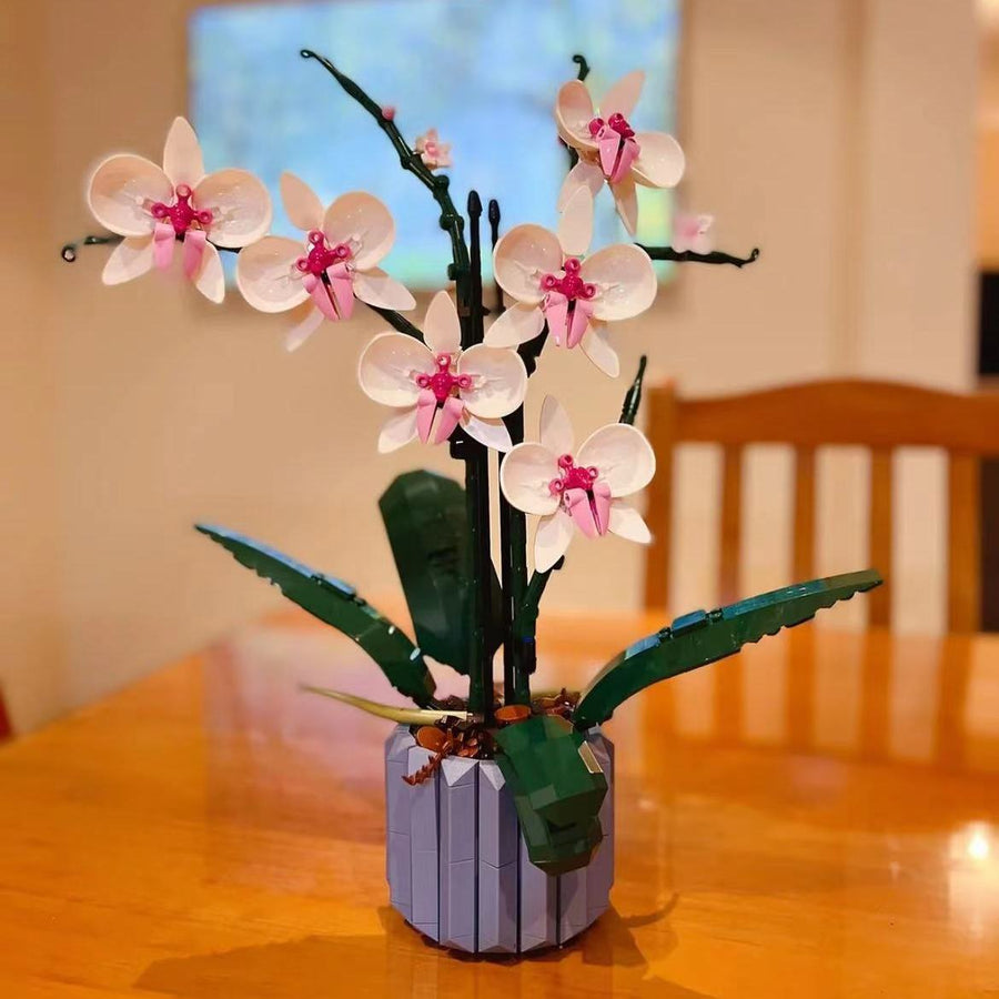 Hause Vielzahl Orchidee Bouquet Sukkulenten Ornamente Blöcke Vorteilhaft Intelligente Spielzeug