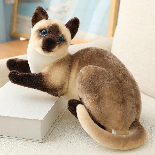 Katze Plüsch Spielzeug