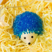 Magie Igel kinder Tag Geschenk Tik Tok DIY Art Von Wishing Kristall