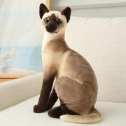 Katze Plüsch Spielzeug
