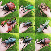 Simulation Insekten, Kleine Tiere, Spielzeug, Ameisen, Grillen, Spinnen, Skorpione, Marienkäfer, Libellen