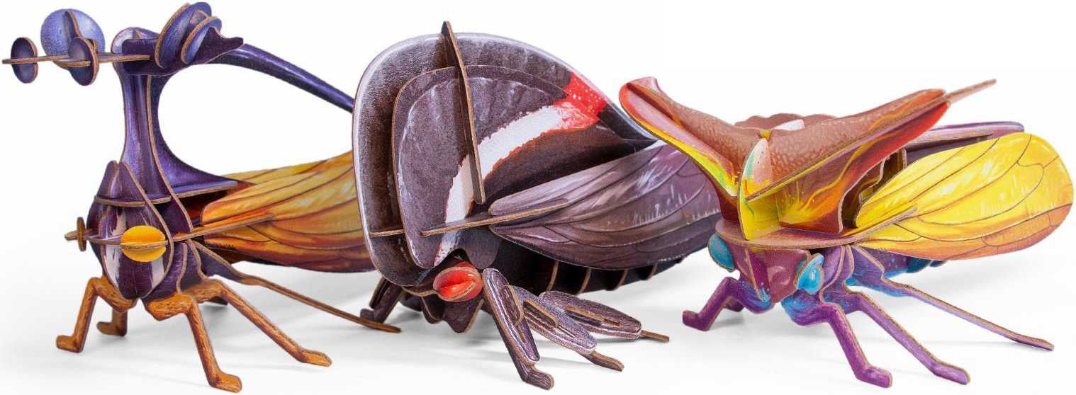 mytooy Insektenmodell für Kinder
