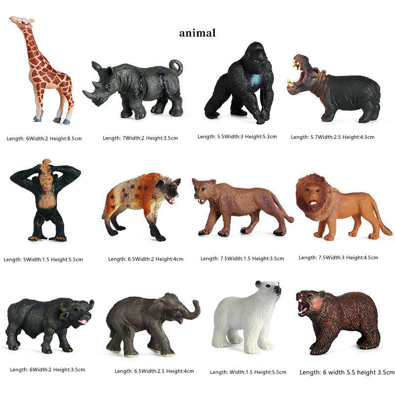 Kinder Kognitive Solide Kunststoff Modell Spielzeug Mein Shop