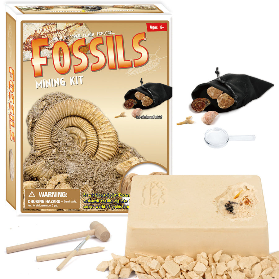 "Archäologische Kinderpuzzle Erkundungs-Ausgrabungsspielzeuge"