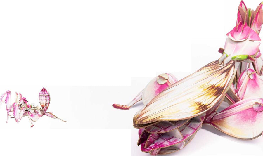 mytooy Insektenmodell für Kinder