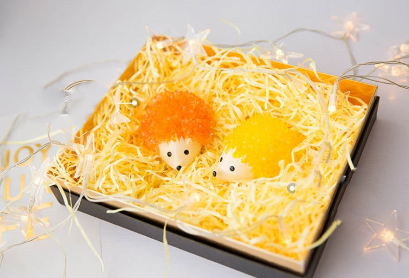 Magie Igel kinder Tag Geschenk Tik Tok DIY Art Von Wishing Kristall