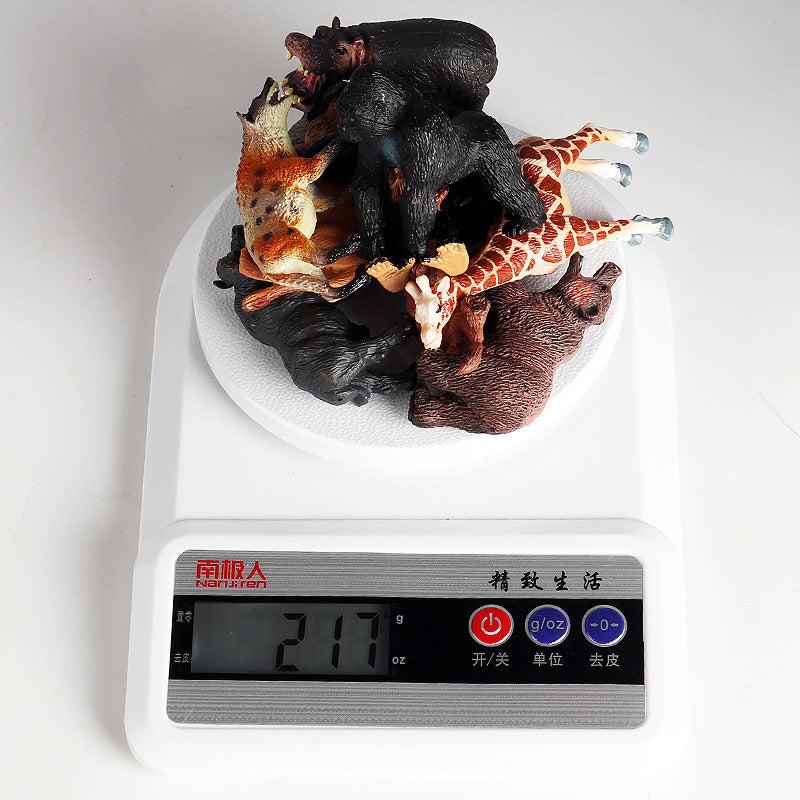 Kinder Kognitive Solide Kunststoff Modell Spielzeug Mein Shop