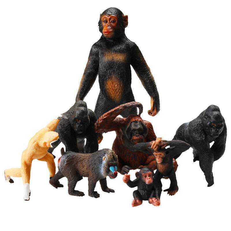 "Solides Tiermodell Spielzeugset Handgefertigte Lernhilfen"