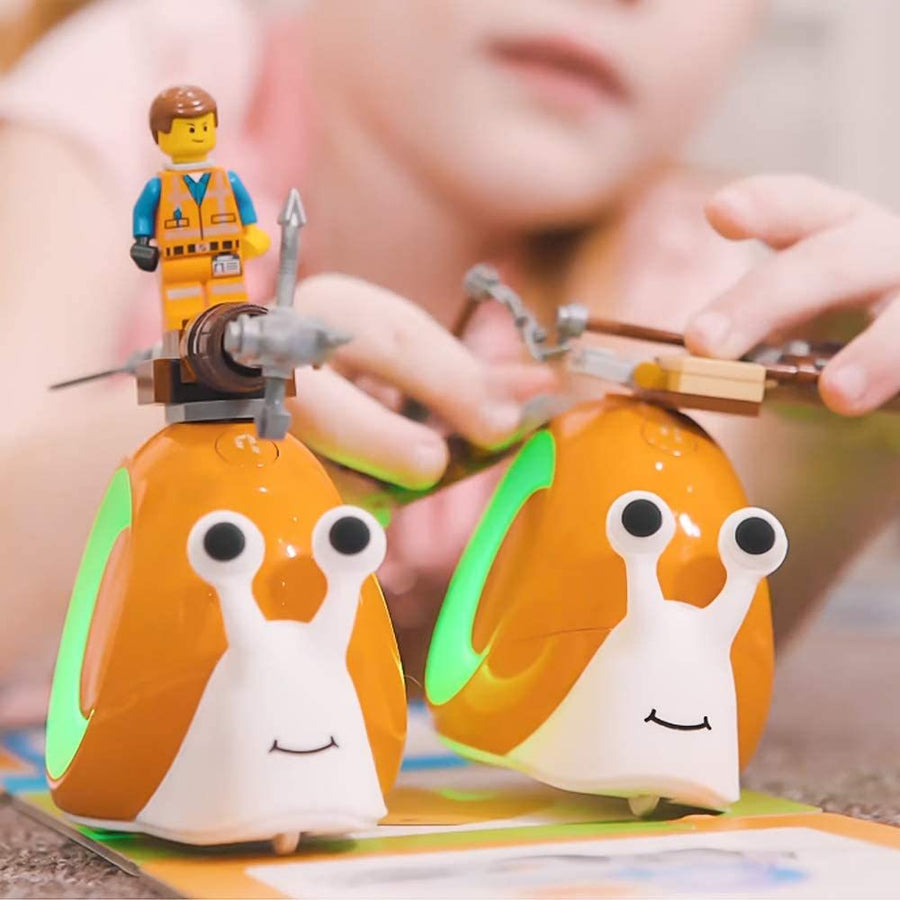 mytooy Montessori interaktives Lernspiel mit Karte