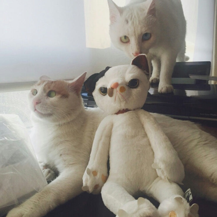 60cm Plüschpuppe Katzen Stofftiere