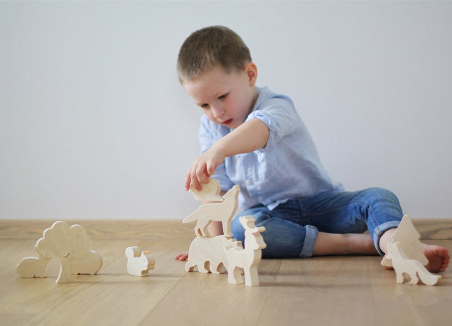 Holz Wissenschaftlichen Und Pädagogisches Spielzeug Für Kinder