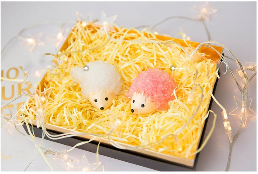 Magie Igel kinder Tag Geschenk Tik Tok DIY Art Von Wishing Kristall