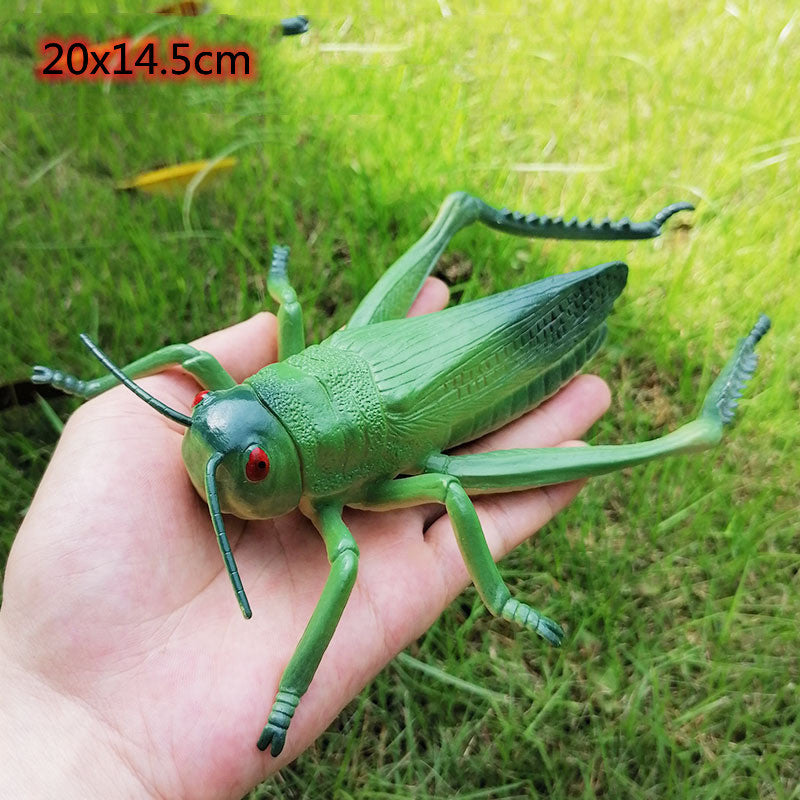 Simulation Insekten, Kleine Tiere, Spielzeug, Ameisen, Grillen, Spinnen, Skorpione, Marienkäfer, Libellen