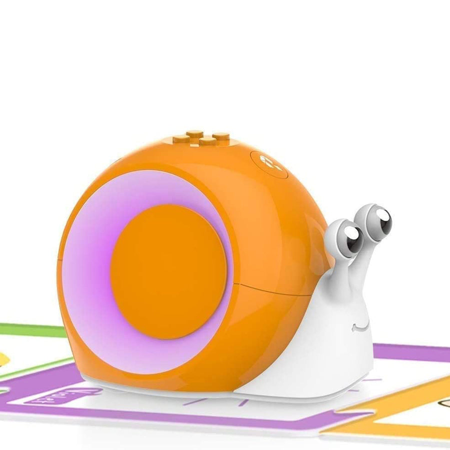 mytooy Montessori interaktives Lernspiel mit Karte