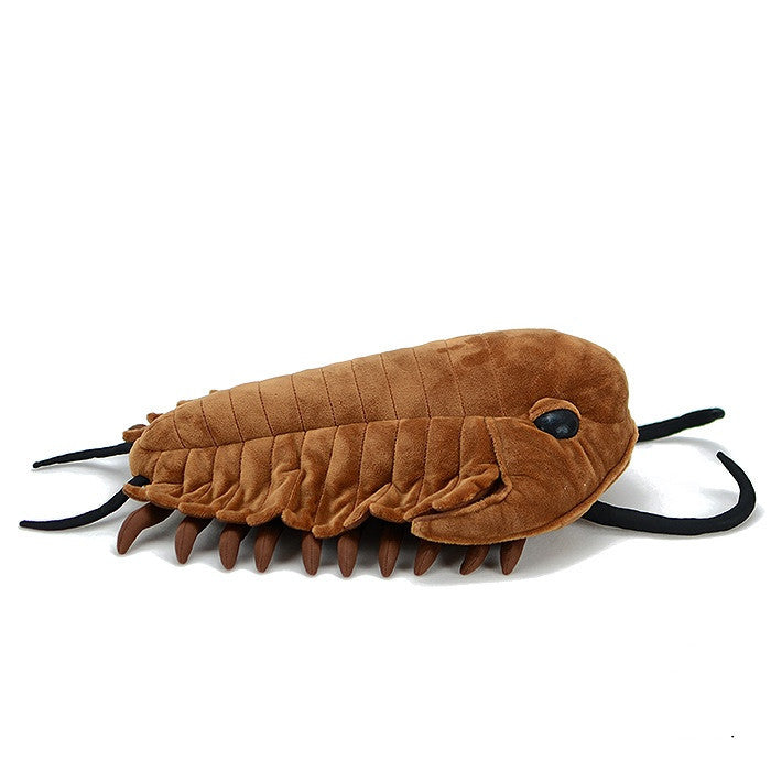 Paläontologie Serie Simulation Lederiki Trilobite Plüsch Spielzeug
