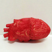 "Halloween Realistische Trickspielzeuge Horror Requisiten Ganz" Mein Shop