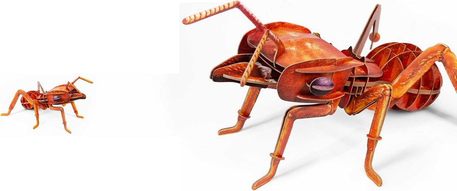 mytooy Insektenmodell für Kinder