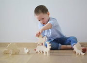Holz Wissenschaftlichen Und Pädagogisches Spielzeug Für Kinder